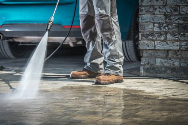 Best Pre-Holiday Cleaning  in Schnecksville, PA