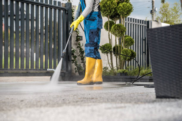 Best Dumpster Area Cleaning  in Schnecksville, PA