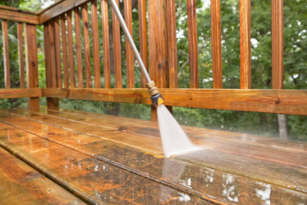 Best Roof Washing  in Schnecksville, PA